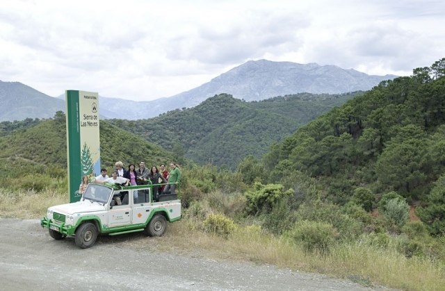  In the Sierra de las Nieves 
